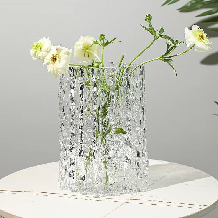AuraHive Rain Glass Vase & Terrarium Plant Holder