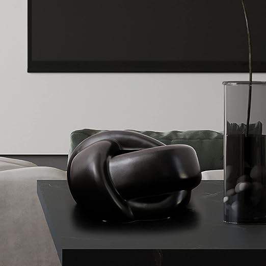 AuraHive Turtle Style Polished Tissue Box