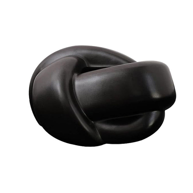 AuraHive Turtle Style Polished Tissue Box
